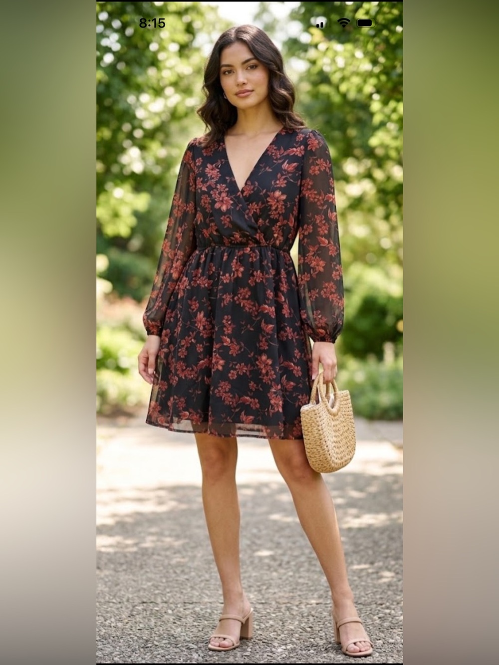 Black Rust Floral Lined Sheer Sleeve Dress Size Medium whimsigoth Cottagecore